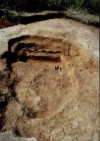 Chronicle of the Archaeological Excavations in Romania, 2001 Campaign. Report no. 118, Iaz, Rovină (Şuşara)<br /><a href='CronicaCAfotografii/2001/118/Iaz2.jpg' target=_blank>Display the same picture in a new window</a>