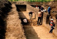 Cronica Cercetărilor Arheologice din România, Campania 2001. Raportul nr. 122, Isaiia, Balta Popii<br /><a href='CronicaCAfotografii/2001/122/isaiia-pl-vii-1.jpg' target=_blank>Priveşte aceeaşi imagine într-o fereastră nouă</a>