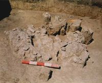 Cronica Cercetărilor Arheologice din România, Campania 2001. Raportul nr. 122, Isaiia, Balta Popii<br /><a href='CronicaCAfotografii/2001/122/isaiia-pl-vii-2.jpg' target=_blank>Priveşte aceeaşi imagine într-o fereastră nouă</a>