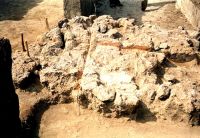 Cronica Cercetărilor Arheologice din România, Campania 2001. Raportul nr. 122, Isaiia, Balta Popii<br /><a href='CronicaCAfotografii/2001/122/isaiia-pl-viii-1.jpg' target=_blank>Priveşte aceeaşi imagine într-o fereastră nouă</a>