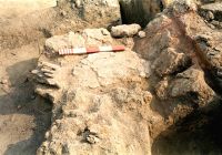 Cronica Cercetărilor Arheologice din România, Campania 2001. Raportul nr. 122, Isaiia, Balta Popii<br /><a href='CronicaCAfotografii/2001/122/isaiia-pl-viii-2.jpg' target=_blank>Priveşte aceeaşi imagine într-o fereastră nouă</a>