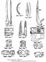 Cronica Cercetărilor Arheologice din România, Campania 2001. Raportul nr. 124, Însurăţei, Popina II (Popina Ruptă)<br /><a href='CronicaCAfotografii/2001/124/ins-2001-pl-03.jpg' target=_blank>Priveşte aceeaşi imagine într-o fereastră nouă</a>