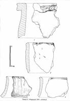 Cronica Cercetărilor Arheologice din România, Campania 2001. Raportul nr. 145, Mogoşeşti, La Cimitir<br /><a href='CronicaCAfotografii/2001/145/plansa-10.jpg' target=_blank>Priveşte aceeaşi imagine într-o fereastră nouă</a>