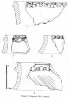 Cronica Cercetărilor Arheologice din România, Campania 2001. Raportul nr. 145, Mogoşeşti, La Cimitir<br /><a href='CronicaCAfotografii/2001/145/plansa-9.jpg' target=_blank>Priveşte aceeaşi imagine într-o fereastră nouă</a>