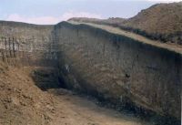 Cronica Cercetărilor Arheologice din România, Campania 2001. Raportul nr. 147, Movileni, Dealul Criveşti (La movile)<br /><a href='CronicaCAfotografii/2001/147/movileni-pl-iii-2.jpg' target=_blank>Priveşte aceeaşi imagine într-o fereastră nouă</a>