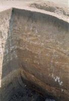 Cronica Cercetărilor Arheologice din România, Campania 2001. Raportul nr. 147, Movileni, Dealul Criveşti (La movile)<br /><a href='CronicaCAfotografii/2001/147/movileni-pl-iii-3.jpg' target=_blank>Priveşte aceeaşi imagine într-o fereastră nouă</a>