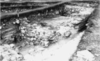 Chronicle of the Archaeological Excavations in Romania, 2001 Campaign. Report no. 149, Murighiol, La Cetate (Bataraia).<br /> Sector SECTOR-TURNUL-11.<br /><a href='CronicaCAfotografii/2001/149/8.JPG' target=_blank>Display the same picture in a new window</a>