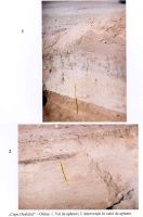 Cronica Cercetărilor Arheologice din România, Campania 2001. Raportul nr. 155, Oltina, Capu Dealului<br /><a href='CronicaCAfotografii/2001/155/capul.jpg' target=_blank>Priveşte aceeaşi imagine într-o fereastră nouă</a>