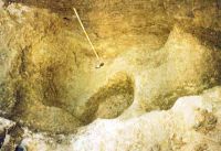 Cronica Cercetărilor Arheologice din România, Campania 2001. Raportul nr. 161, Parţa, Tell II<br /><a href='CronicaCAfotografii/2001/161/parta-tell-02.jpg' target=_blank>Priveşte aceeaşi imagine într-o fereastră nouă</a>