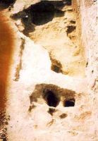 Cronica Cercetărilor Arheologice din România, Campania 2001. Raportul nr. 161, Parţa, Tell II<br /><a href='CronicaCAfotografii/2001/161/parta-tell-03.jpg' target=_blank>Priveşte aceeaşi imagine într-o fereastră nouă</a>