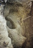 Cronica Cercetărilor Arheologice din România, Campania 2001. Raportul nr. 161, Parţa, Tell II<br /><a href='CronicaCAfotografii/2001/161/parta02.jpg' target=_blank>Priveşte aceeaşi imagine într-o fereastră nouă</a>