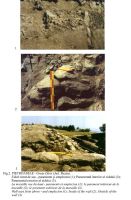 Cronica Cercetărilor Arheologice din România, Campania 2001. Raportul nr. 166, Pietroasa Mică, Gruiu Dării<br /><a href='CronicaCAfotografii/2001/166/Fig-002.jpg' target=_blank>Priveşte aceeaşi imagine într-o fereastră nouă</a>