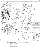 Cronica Cercetărilor Arheologice din România, Campania 2001. Raportul nr. 166, Pietroasa Mică, Gruiu Dării<br /><a href='CronicaCAfotografii/2001/166/Fig-006.jpg' target=_blank>Priveşte aceeaşi imagine într-o fereastră nouă</a>