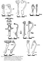 Cronica Cercetărilor Arheologice din România, Campania 2001. Raportul nr. 166, Pietroasa Mică, Gruiu Dării<br /><a href='CronicaCAfotografii/2001/166/Fig-008.jpg' target=_blank>Priveşte aceeaşi imagine într-o fereastră nouă</a>