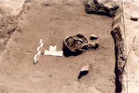 Cronica Cercetărilor Arheologice din România, Campania 2001. Raportul nr. 211, Stelnica, Grădiştea Mare<br /><a href='CronicaCAfotografii/2001/211/stelnica-fig-4.JPG' target=_blank>Priveşte aceeaşi imagine într-o fereastră nouă</a>