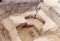 Cronica Cercetărilor Arheologice din România, Campania 2001. Raportul nr. 211, Stelnica, Grădiştea Mare<br /><a href='CronicaCAfotografii/2001/211/stelnica-fig-7.JPG' target=_blank>Priveşte aceeaşi imagine într-o fereastră nouă</a>