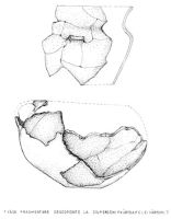 Chronicle of the Archaeological Excavations in Romania, 2001 Campaign. Report no. 237, Vârtopu, Vârtoapele<br /><a href='CronicaCAfotografii/2001/237/t7.jpg' target=_blank>Display the same picture in a new window</a>