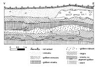 Chronicle of the Archaeological Excavations in Romania, 2001 Campaign. Report no. 247, Zidurile, Măgura lui Păun Ciobanul<br /><a href='CronicaCAfotografii/2001/247/ziduri-fig-2.jpg' target=_blank>Display the same picture in a new window</a>