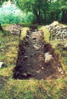 Chronicle of the Archaeological Excavations in Romania, 2002 Campaign. Report no. 2, Gura Cornei, Valea Seliştei.<br /> Sector foto.<br /><a href='CronicaCAfotografii/2002/002/foto/14-pl-xiv-16.jpg' target=_blank>Display the same picture in a new window</a>. Title: foto