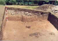 Chronicle of the Archaeological Excavations in Romania, 2002 Campaign. Report no. 2, Gura Cornei, Valea Seliştei.<br /> Sector foto.<br /><a href='CronicaCAfotografii/2002/002/foto/25-pl-xxv-38.jpg' target=_blank>Display the same picture in a new window</a>. Title: foto