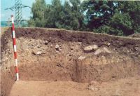 Chronicle of the Archaeological Excavations in Romania, 2002 Campaign. Report no. 2, Gura Cornei, Valea Seliştei.<br /> Sector foto.<br /><a href='CronicaCAfotografii/2002/002/foto/26-pl-xxvi-39.jpg' target=_blank>Display the same picture in a new window</a>. Title: foto