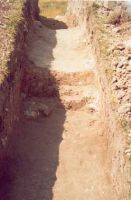 Chronicle of the Archaeological Excavations in Romania, 2002 Campaign. Report no. 2, Gura Cornei, Valea Seliştei.<br /> Sector foto.<br /><a href='CronicaCAfotografii/2002/002/foto/28-pl-xxviii-44.jpg' target=_blank>Display the same picture in a new window</a>. Title: foto