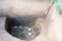 Chronicle of the Archaeological Excavations in Romania, 2002 Campaign. Report no. 6, Adâncata, Dealul Lipovanului.<br /> Sector movilaT3.<br /><a href='CronicaCAfotografii/2002/006/movilaT3/m4.jpg' target=_blank>Display the same picture in a new window</a>. Title: movilaT3