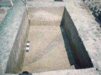 Chronicle of the Archaeological Excavations in Romania, 2002 Campaign. Report no. 6, Adâncata, Dealul Lipovanului.<br /> Sector movilaT5.<br /><a href='CronicaCAfotografii/2002/006/movilaT5/c5.jpg' target=_blank>Display the same picture in a new window</a>. Title: movilaT5