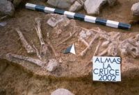 Chronicle of the Archaeological Excavations in Romania, 2002 Campaign. Report no. 15, Almaşu Mare, La Cruce<br /><a href='CronicaCAfotografii/2002/015/fig-2.jpg' target=_blank>Display the same picture in a new window</a>