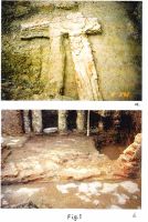 Cronica Cercetărilor Arheologice din România, Campania 2002. Raportul nr. 37, Bucureşti<br /><a href='CronicaCAfotografii/2002/037/armandfig1.jpg' target=_blank>Priveşte aceeaşi imagine într-o fereastră nouă</a>