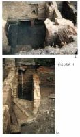 Chronicle of the Archaeological Excavations in Romania, 2002 Campaign. Report no. 38, Bucureşti<br /><a href='CronicaCAfotografii/2002/038/sepcari-fig-1.jpg' target=_blank>Display the same picture in a new window</a>