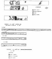 Chronicle of the Archaeological Excavations in Romania, 2002 Campaign. Report no. 40, Bumbeşti-Jiu, Gară<br /><a href='CronicaCAfotografii/2002/040/03.jpg' target=_blank>Display the same picture in a new window</a>