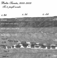Cronica Cercetărilor Arheologice din România, Campania 2002. Raportul nr. 43, Caransebeş, Balta Sărată-Câmpul lui Poşta (Câmpul lui Poşta, Poşta lui Maier)<br /><a href='CronicaCAfotografii/2002/043/BSFig3.jpg' target=_blank>Priveşte aceeaşi imagine într-o fereastră nouă</a>