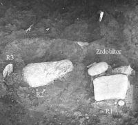 Cronica Cercetărilor Arheologice din România, Campania 2002. Raportul nr. 43, Caransebeş, Balta Sărată-Câmpul lui Poşta (Câmpul lui Poşta, Poşta lui Maier)<br /><a href='CronicaCAfotografii/2002/043/BSFig5.jpg' target=_blank>Priveşte aceeaşi imagine într-o fereastră nouă</a>