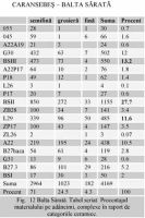 Cronica Cercetărilor Arheologice din România, Campania 2002. Raportul nr. 43, Caransebeş, Balta Sărată-Câmpul lui Poşta (Câmpul lui Poşta, Poşta lui Maier)<br /><a href='CronicaCAfotografii/2002/043/abelceramica.jpg' target=_blank>Priveşte aceeaşi imagine într-o fereastră nouă</a>