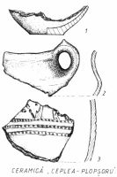 Cronica Cercetărilor Arheologice din România, Campania 2002. Raportul nr. 51, Ceplea, Biserica Dacilor (Valea Satului; Casa Cepleanu)<br /><a href='CronicaCAfotografii/2002/051/06.jpg' target=_blank>Priveşte aceeaşi imagine într-o fereastră nouă</a>