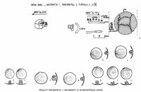 Chronicle of the Archaeological Excavations in Romania, 2002 Campaign. Report no. 72, Desa, La ruptură<br /><a href='CronicaCAfotografii/2002/072/04.jpg' target=_blank>Display the same picture in a new window</a>