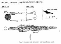 Cronica Cercetărilor Arheologice din România, Campania 2002. Raportul nr. 72, Desa, La ruptură<br /><a href='CronicaCAfotografii/2002/072/05.jpg' target=_blank>Priveşte aceeaşi imagine într-o fereastră nouă</a>