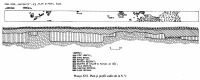 Cronica Cercetărilor Arheologice din România, Campania 2002. Raportul nr. 72, Desa, La ruptură<br /><a href='CronicaCAfotografii/2002/072/16.jpg' target=_blank>Priveşte aceeaşi imagine într-o fereastră nouă</a>