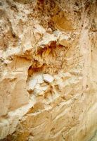 Cronica Cercetărilor Arheologice din România, Campania 2002. Raportul nr. 81, Galaţi, Cartierul Dunărea (Cătuşa)<br /><a href='CronicaCAfotografii/2002/081/m-brudiu-2002-fig2-vedere-materiale.jpg' target=_blank>Priveşte aceeaşi imagine într-o fereastră nouă</a>