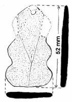 Cronica Cercetărilor Arheologice din România, Campania 2002. Raportul nr. 102, Isaiia, Balta Popii<br /><a href='CronicaCAfotografii/2002/102/isaiia-fig-3-2.jpg' target=_blank>Priveşte aceeaşi imagine într-o fereastră nouă</a>