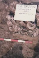 Cronica Cercetărilor Arheologice din România, Campania 2002. Raportul nr. 102, Isaiia, Balta Popii<br /><a href='CronicaCAfotografii/2002/102/isaiia-fig-4-1.jpg' target=_blank>Priveşte aceeaşi imagine într-o fereastră nouă</a>