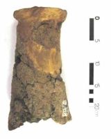 Cronica Cercetărilor Arheologice din România, Campania 2002. Raportul nr. 102, Isaiia, Balta Popii<br /><a href='CronicaCAfotografii/2002/102/isaiia-fig-5-5.jpg' target=_blank>Priveşte aceeaşi imagine într-o fereastră nouă</a>