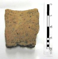 Cronica Cercetărilor Arheologice din România, Campania 2002. Raportul nr. 102, Isaiia, Balta Popii<br /><a href='CronicaCAfotografii/2002/102/isaiia-fig-5-8.jpg' target=_blank>Priveşte aceeaşi imagine într-o fereastră nouă</a>