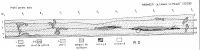 Cronica Cercetărilor Arheologice din România, Campania 2002. Raportul nr. 122, Mironeşti, Conacul lui Palade (CAP)<br /><a href='CronicaCAfotografii/2002/122/plansaII.jpg' target=_blank>Priveşte aceeaşi imagine într-o fereastră nouă</a>