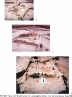 Cronica Cercetărilor Arheologice din România, Campania 2002. Raportul nr. 126, Năvodari, La Ostrov (Lacul Taşaul)<br /><a href='CronicaCAfotografii/2002/126/pl-viiivatra.jpg' target=_blank>Priveşte aceeaşi imagine într-o fereastră nouă</a>