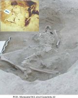 Cronica Cercetărilor Arheologice din România, Campania 2002. Raportul nr. 126, Năvodari, La Ostrov (Lacul Taşaul)<br /><a href='CronicaCAfotografii/2002/126/pl-xim2.jpg' target=_blank>Priveşte aceeaşi imagine într-o fereastră nouă</a>