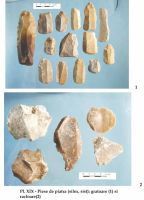 Cronica Cercetărilor Arheologice din România, Campania 2002. Raportul nr. 126, Năvodari, La Ostrov (Lacul Taşaul)<br /><a href='CronicaCAfotografii/2002/126/pl-xixgratoare.jpg' target=_blank>Priveşte aceeaşi imagine într-o fereastră nouă</a>