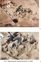 Cronica Cercetărilor Arheologice din România, Campania 2002. Raportul nr. 126, Năvodari, La Ostrov (Lacul Taşaul)<br /><a href='CronicaCAfotografii/2002/126/pl-xm2.jpg' target=_blank>Priveşte aceeaşi imagine într-o fereastră nouă</a>