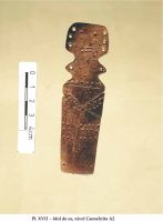 Cronica Cercetărilor Arheologice din România, Campania 2002. Raportul nr. 126, Năvodari, La Ostrov (Lacul Taşaul)<br /><a href='CronicaCAfotografii/2002/126/pl-xviiidol.jpg' target=_blank>Priveşte aceeaşi imagine într-o fereastră nouă</a>